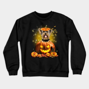 Yorkshire Terrier Spooky Halloween Pumpkin Dog Head Crewneck Sweatshirt